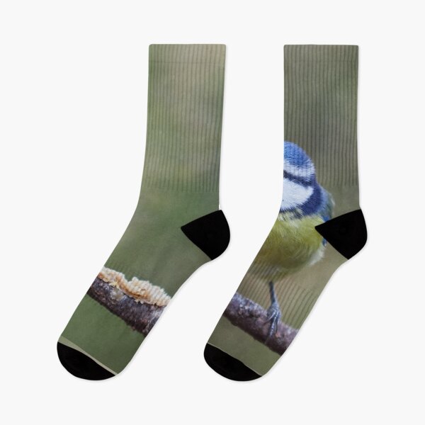 Item preview, The Brave one. Eurasian blue tit designed and sold by Jouko Lehto Photography.