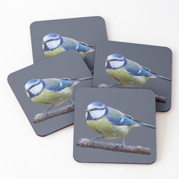 Item preview, Eurasian blue tit transparent designed and sold by Jouko Lehto Photography.