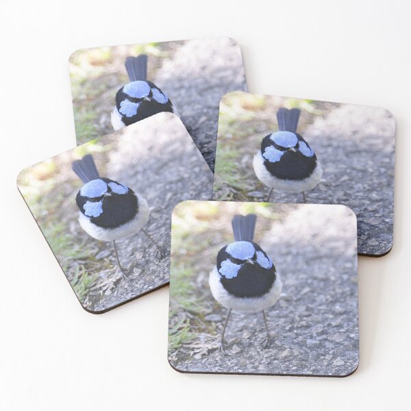 Item preview, Sweet little Superb Fairy-Wren designed and sold by imaginethis.