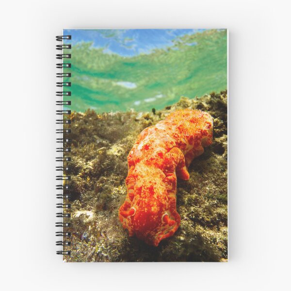 Item preview, Spanish Dancer designed and sold by Kana Photography.