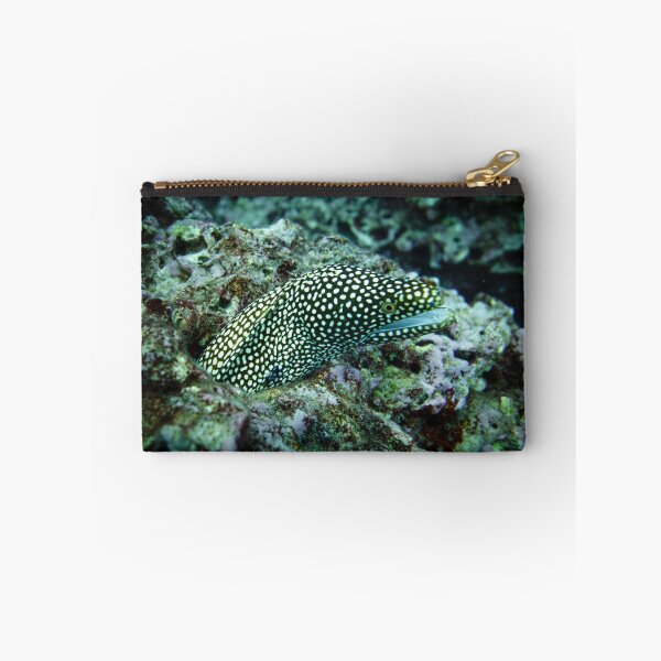Item preview, Eel designed and sold by Kana Photography.