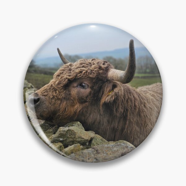 Item preview, A Load of Bull designed and sold by Kat Simmons.