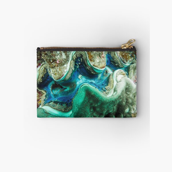 Item preview, Clam designed and sold by Kana Photography.