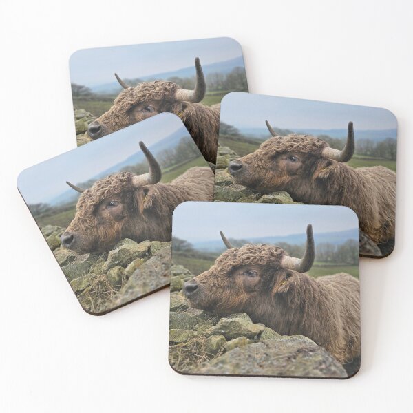 Item preview, A Load of Bull designed and sold by Kat Simmons.