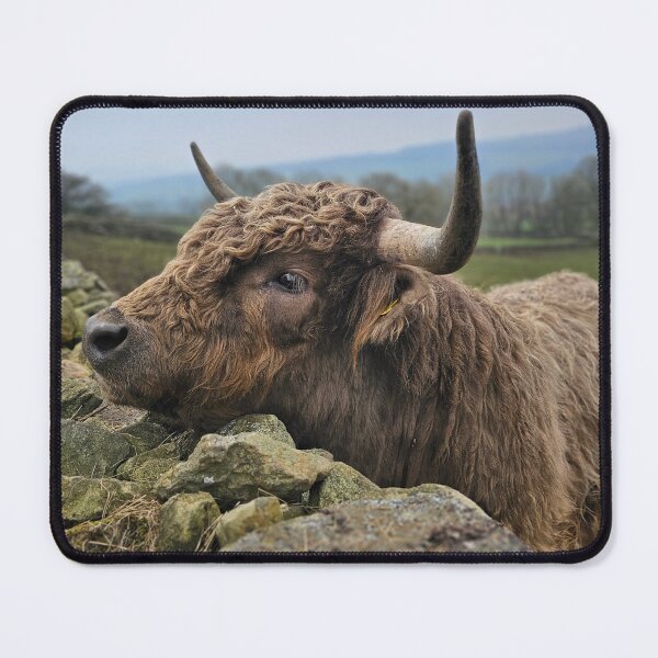 Item preview, A Load of Bull designed and sold by Kat Simmons.
