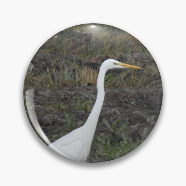 Item preview, Great White Egret wading in shallow water designed and sold by TwistedClassics.