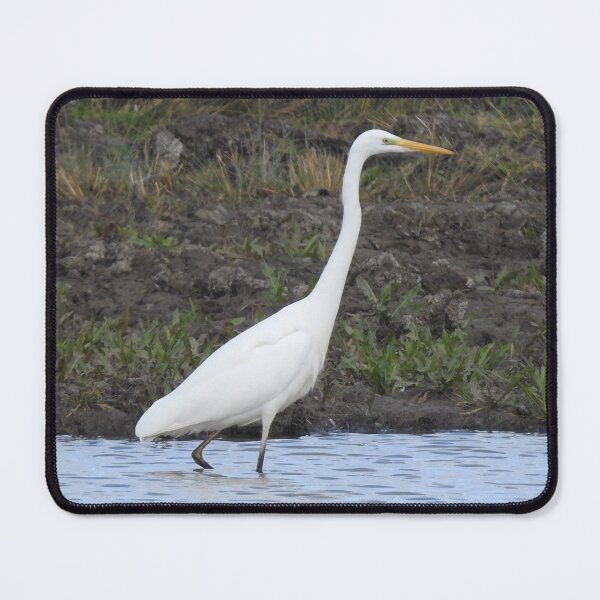 Item preview, Great White Egret wading in shallow water designed and sold by TwistedClassics.