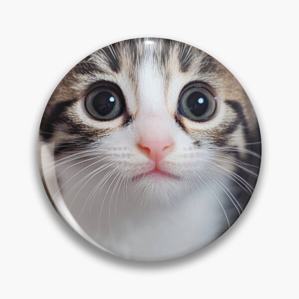 Item preview, Bright-Eyed Wonder: A Fluffy Kitten's Curious Gaze Wrapped in Cozy Warmth designed and sold by exitbird.