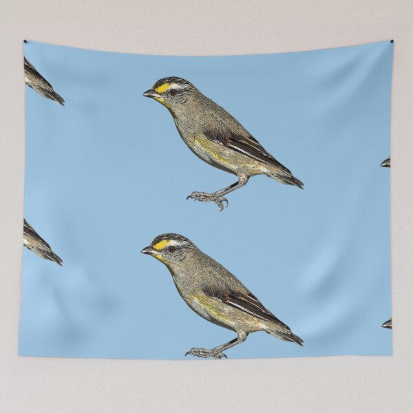 Item preview, Striated Pardalote Color Design  designed and sold by designsasstultd.
