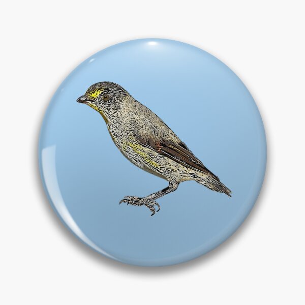 Item preview, Striated Pardalote Black Alternate Design  designed and sold by designsasstultd.