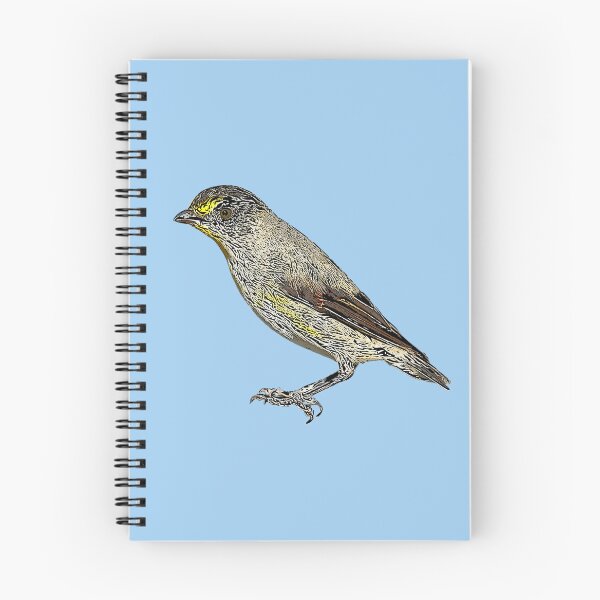 Item preview, Striated Pardalote Black Alternate Design  designed and sold by designsasstultd.