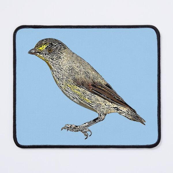 Item preview, Striated Pardalote Black Alternate Design  designed and sold by designsasstultd.