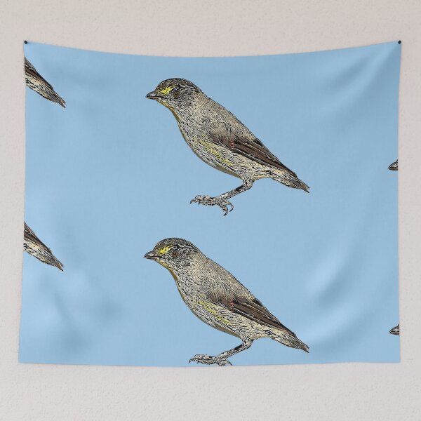 Item preview, Striated Pardalote Black Alternate Design  designed and sold by designsasstultd.