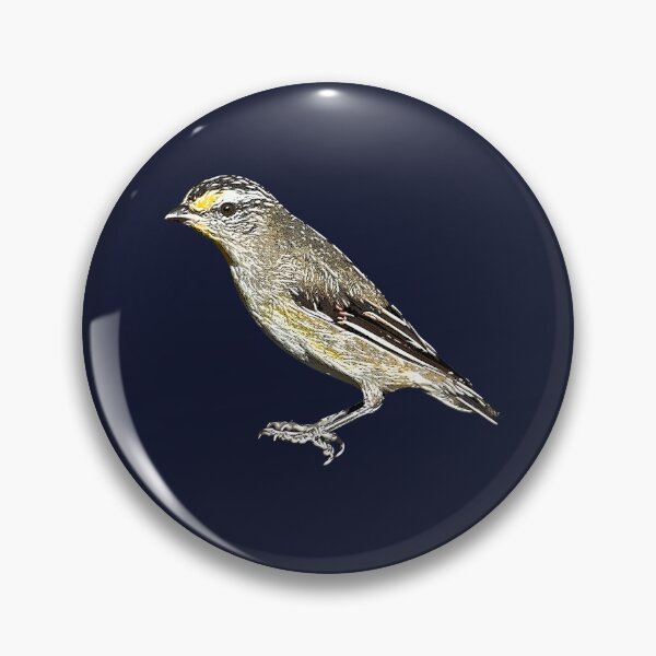 Item preview, Striated Pardalote White Alternate Design  designed and sold by designsasstultd.