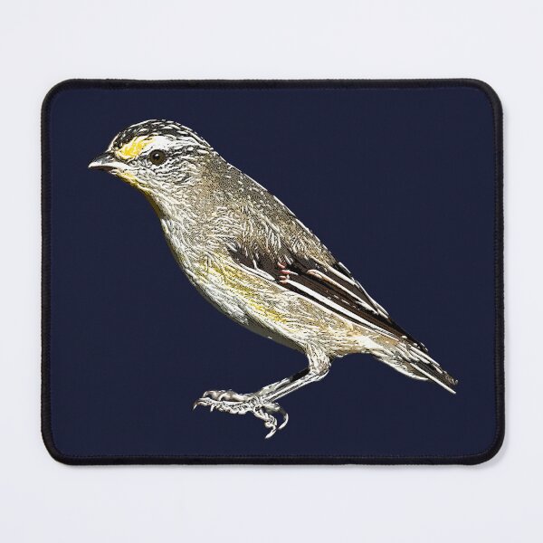 Item preview, Striated Pardalote White Alternate Design designed and sold by designsasstultd.