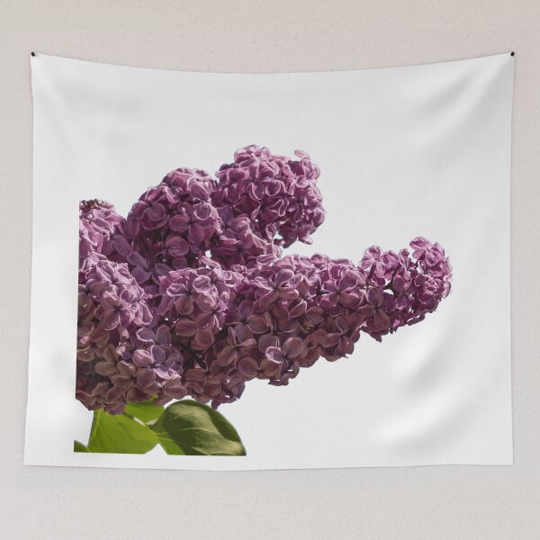 Item preview, Purple Lilacs in the Spring designed and sold by Jon Shore.