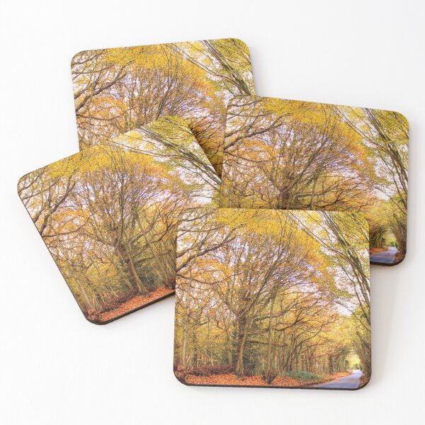 Item preview, Autumn Is Bright designed and sold by Vicki Spindler (VHS Photography).