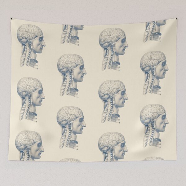 Item preview, Brain and Spinal Anatomy - Side View designed and sold by VAposters.