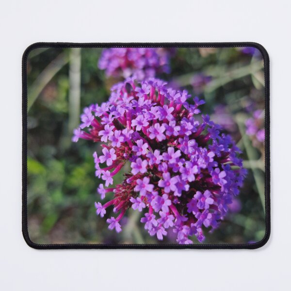 Item preview, Blooming Purpletop Vervain, Green Shank designed and sold by Gaboro.
