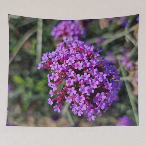 Item preview, Blooming Purpletop Vervain, Green Shank designed and sold by Gaboro.