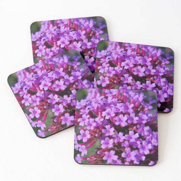 Item preview, Purpletop Vervain, Closeup designed and sold by Gaboro.