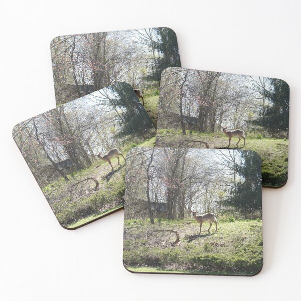 Item preview, wisconsin scene designed and sold by distracted.