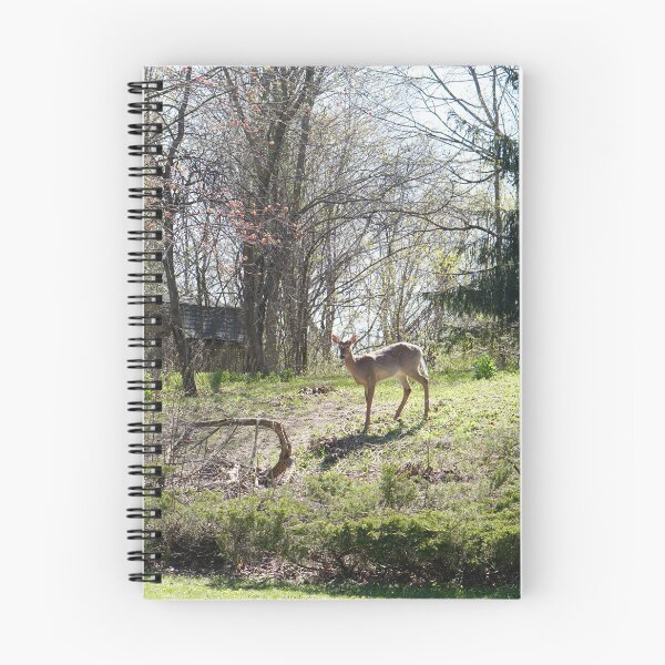 Item preview, wisconsin scene designed and sold by distracted.