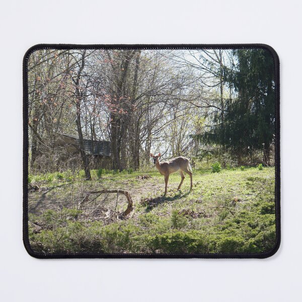 Item preview, wisconsin scene designed and sold by distracted.