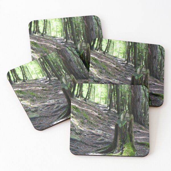Item preview, forest path with tree trunk designed and sold by distracted.