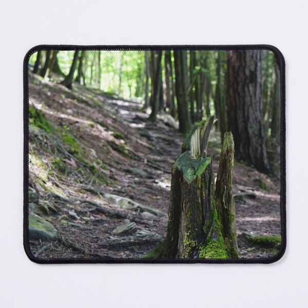 Item preview, forest path with tree trunk designed and sold by distracted.
