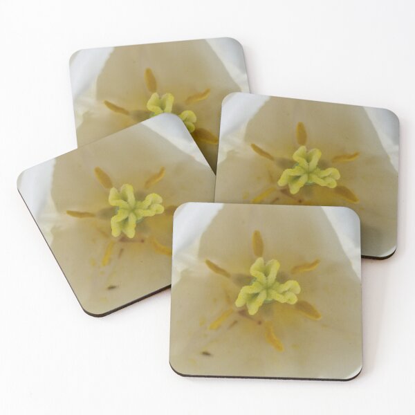 Item preview, White-Yellow Tulip Flower Closeup designed and sold by Gaboro.