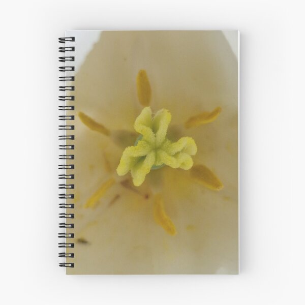 Item preview, White-Yellow Tulip Flower Closeup designed and sold by Gaboro.