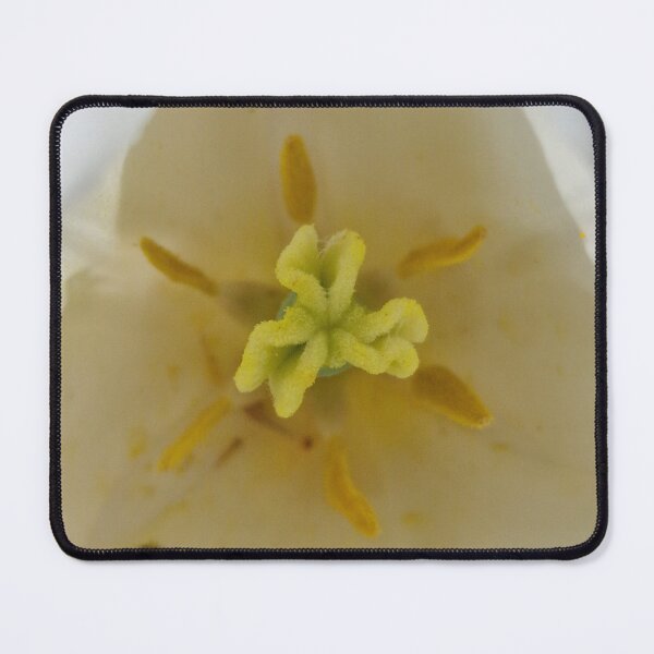Item preview, White-Yellow Tulip Flower Closeup designed and sold by Gaboro.