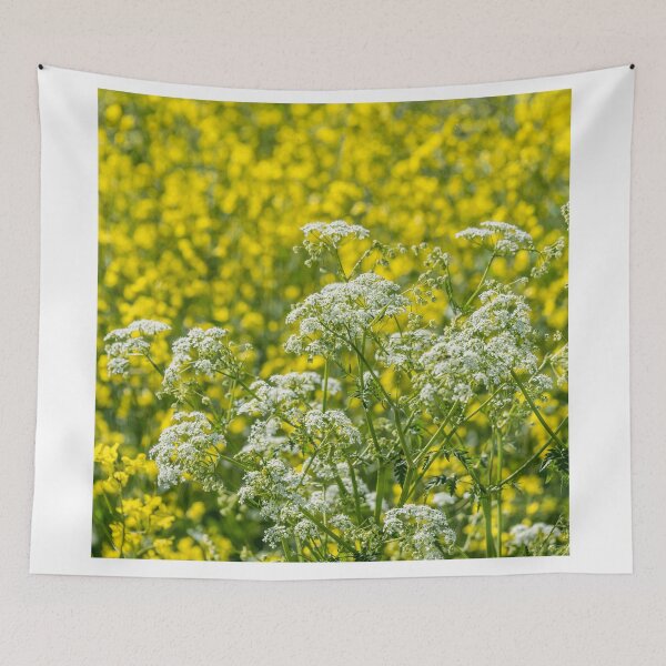 Item preview, White Wildflowers and Yellow Rapeseed Blossoms on a Spring Day designed and sold by Jon Shore.