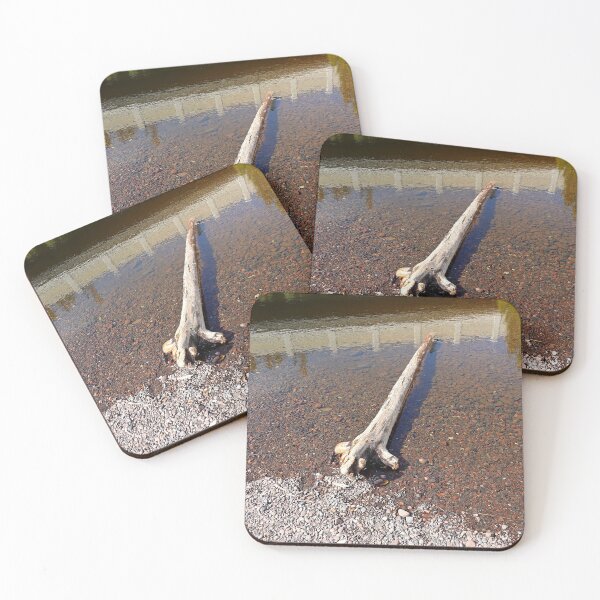 Item preview, French River Wayside Study 2 designed and sold by Robert Meyers-Lussier.