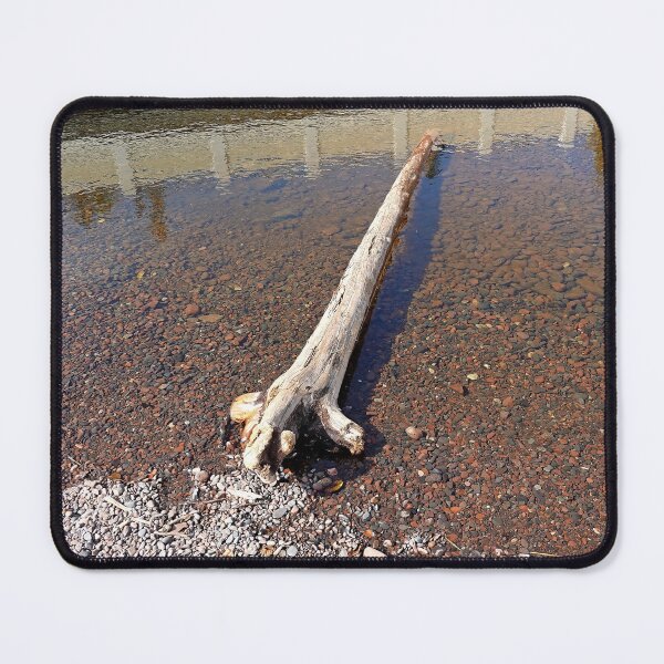 Item preview, French River Wayside Study 2 designed and sold by Robert Meyers-Lussier.