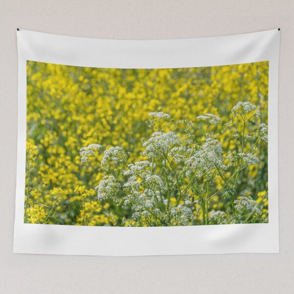 Item preview, White Wildflowers and Yellow Rapeseed Blossoms on a Spring Day designed and sold by Jon Shore.