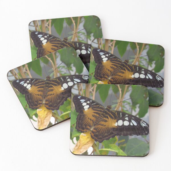 Item preview, Clipper Butterfly 2 designed and sold by MartinPhotos.