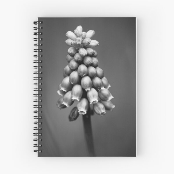 Item preview, Muscari botryoides designed and sold by Marije Kouyzer.