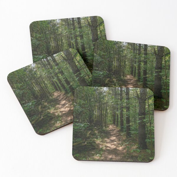 Item preview, Silent Valley Nature Preserve, Ontario 4 designed and sold by jrtwynam.