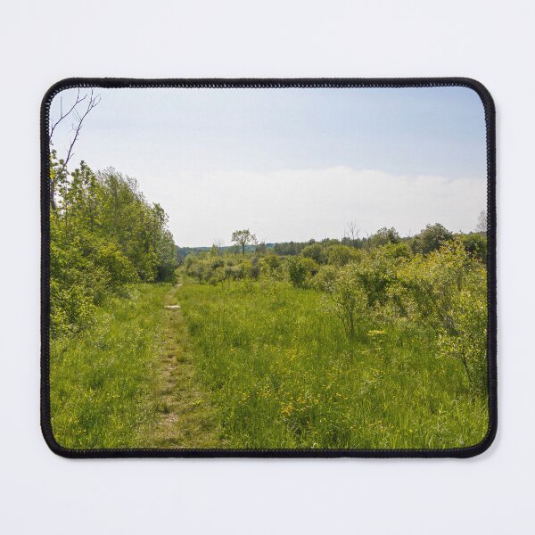 Item preview, Silent Valley Nature Preserve, Ontario 2 designed and sold by jrtwynam.