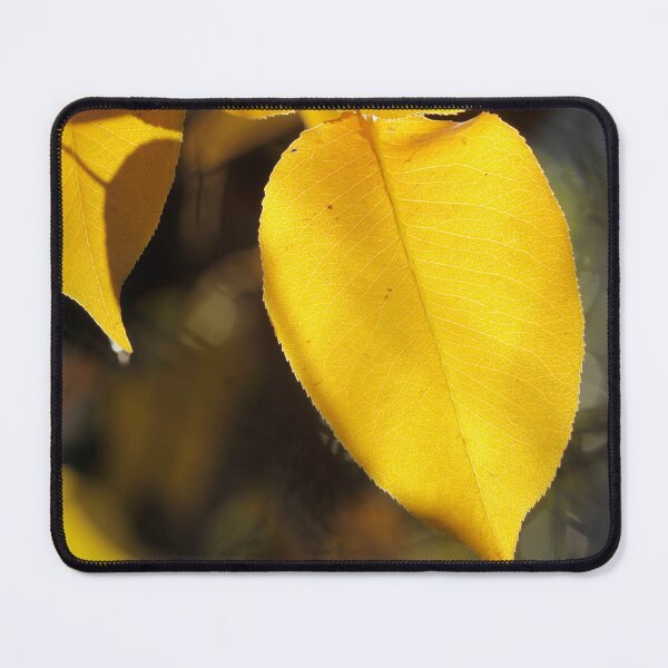 Item preview, Golden autumn leaves on nature background designed and sold by olena2552.