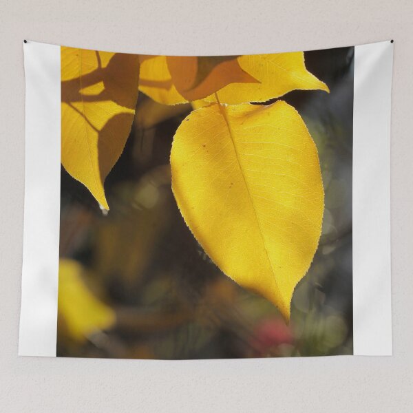Item preview, Golden autumn leaves on nature background designed and sold by olena2552.