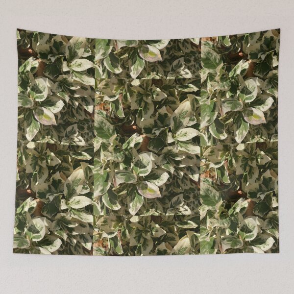 Item preview, Variegated  designed and sold by Amanda1775.