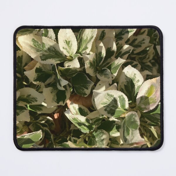 Item preview, Variegated  designed and sold by Amanda1775.