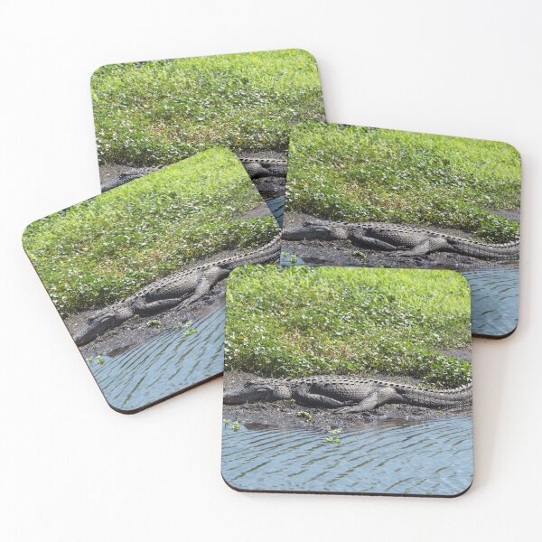 Item preview, Large American Alligator Resting Near Lake in Florida. designed and sold by svetlanna.