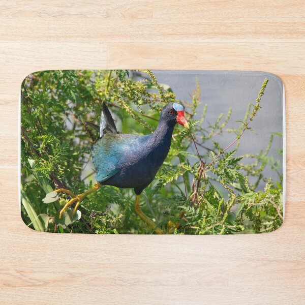 Item preview, Purple gallinule perching in Florida wetland. Florida wildlife. designed and sold by svetlanna.