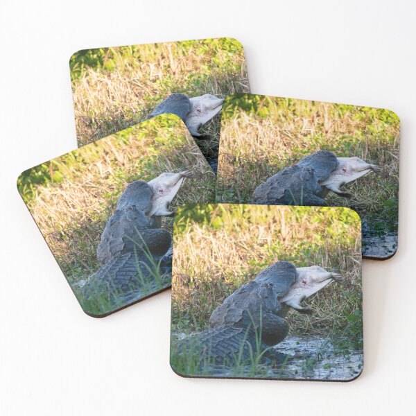 Item preview, American Alligator eating a large softshell turtle in Florida wetlands designed and sold by svetlanna.