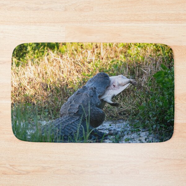Item preview, American Alligator eating a large softshell turtle in Florida wetlands designed and sold by svetlanna.