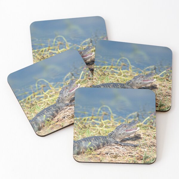 Item preview, young alligator sunning in Florida wetland. designed and sold by svetlanna.